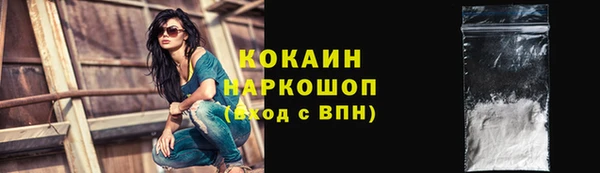 шишки Осинники