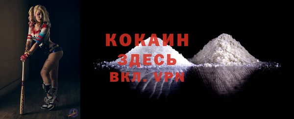 шишки Осинники