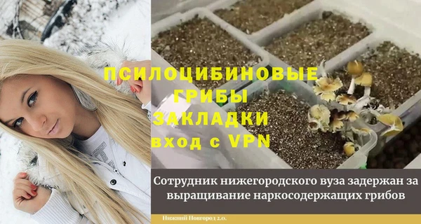 шишки Осинники