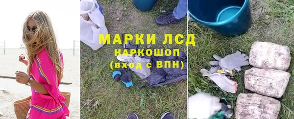 шишки Осинники