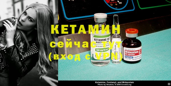 шишки Осинники