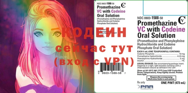 шишки Осинники