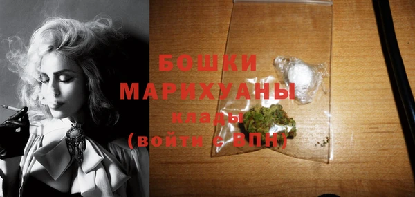 шишки Осинники