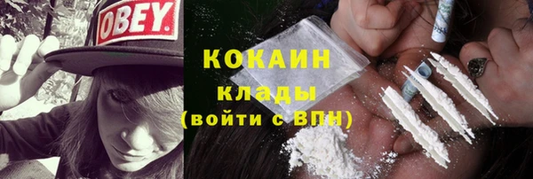 шишки Осинники