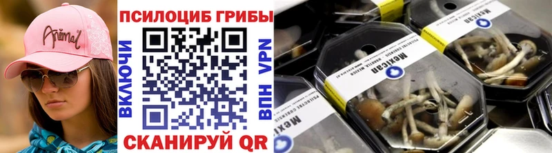 Псилоцибиновые грибы мицелий  Купить закладки  Красноуфимск 