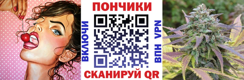 Бошки Шишки конопля  Купить закладки  Красноуфимск 